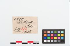 Etiketten zu Bronzekahnfibel (NHMW-PRAE-024801)